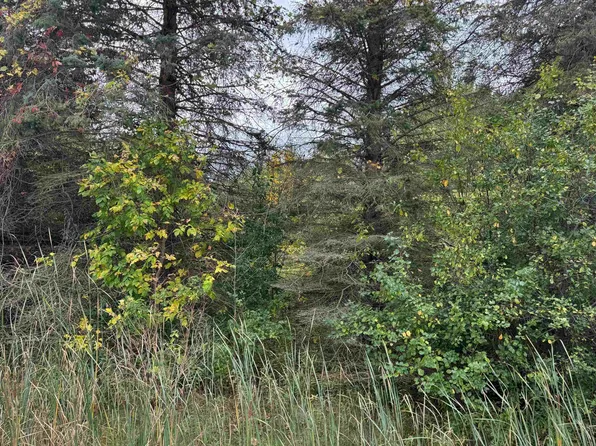 W Vienna Rd, Clio, MI 48420