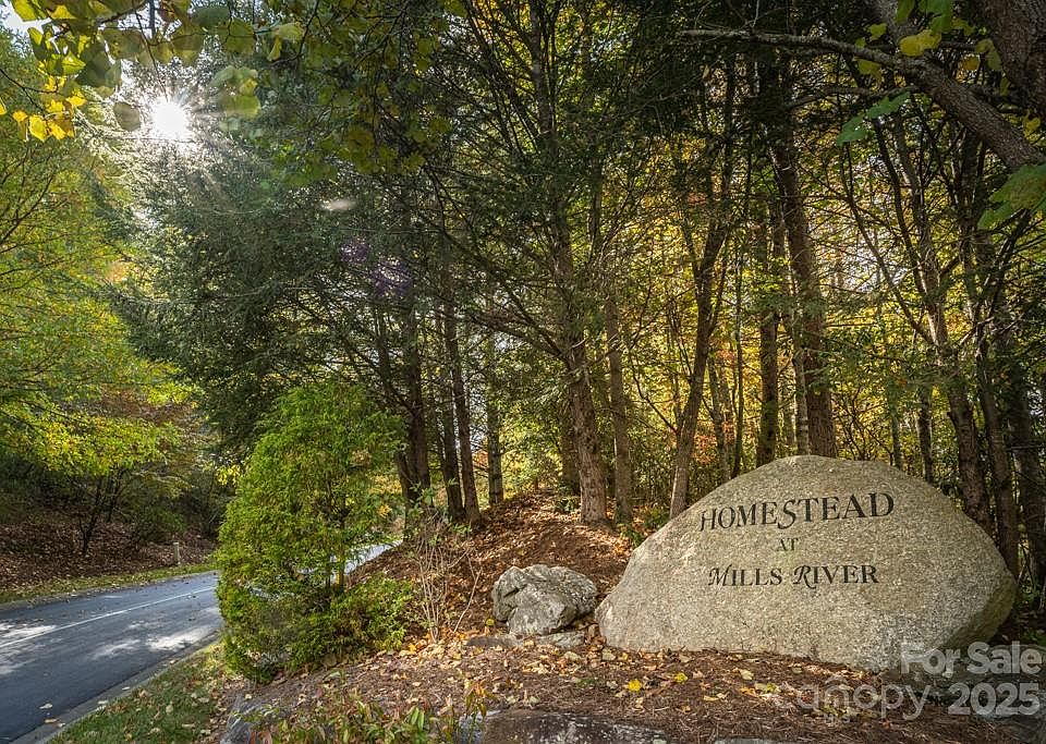 1st image of 99999 Shining Rock Path