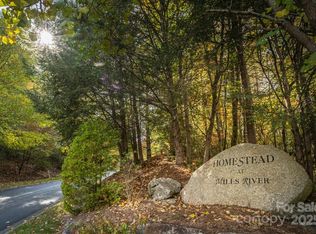 99999 Shining Rock Path, Horse Shoe, NC 28742