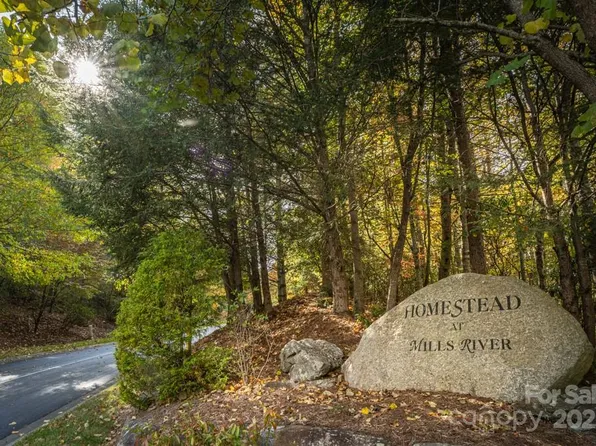 99999 Shining Rock Path, Horse Shoe, NC 28742