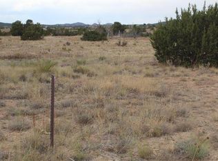 0 Dinkle Rd, Edgewood, NM 87015