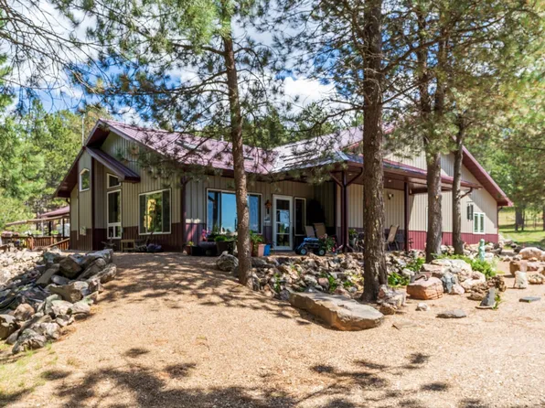 25246 & 25250 Holiday Trl, Custer, SD 57730