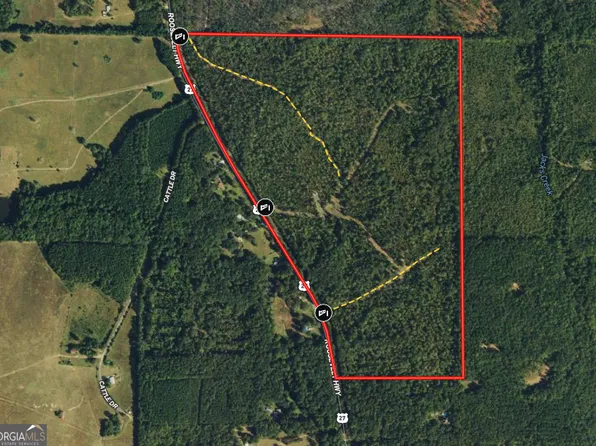 144/AC Roosevelt Hwy, Greenville, GA 30222
