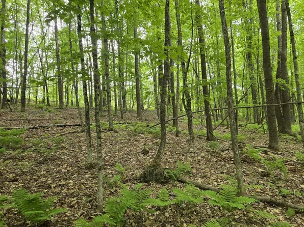 Lot 26 Canton Mountain Road, Jay, ME 04239