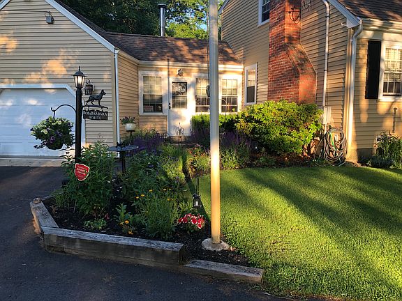 Flower beds 