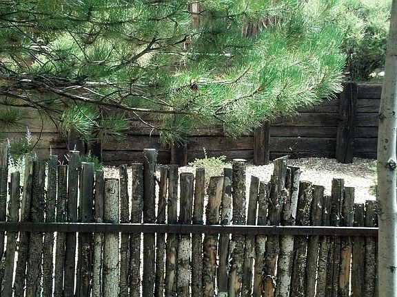 Small yard off patio