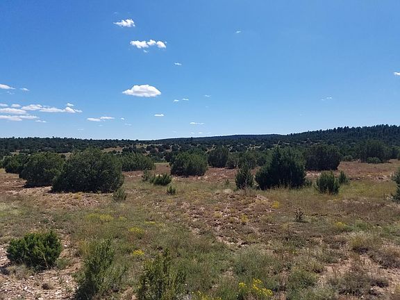 3rd image of LOT 15&17 State Highway 131