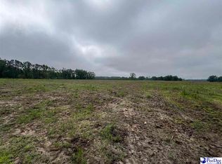 Harry Byrd Hwy, Darlington, SC 29532