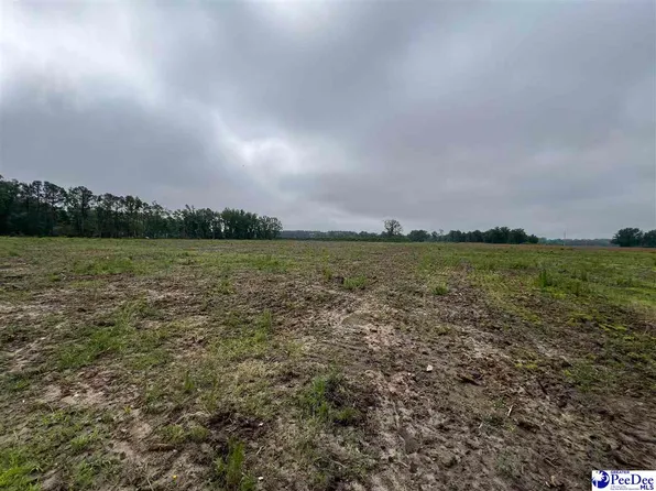 Harry Byrd Hwy, Darlington, SC 29532