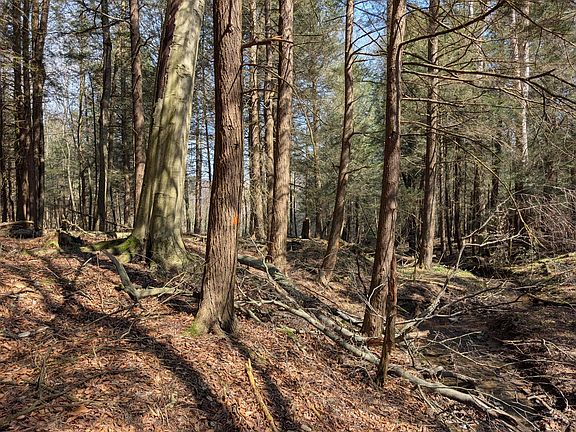 2nd image of Friendly Acres Rd