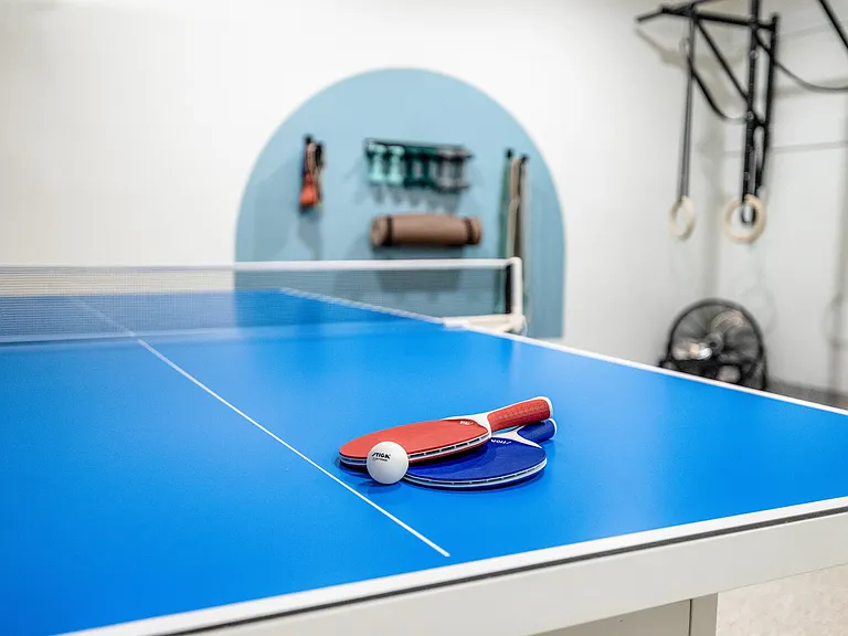 ping pong table