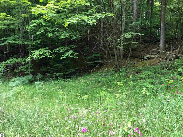 20 N Country Club Dr, Charlevoix, MI 49720