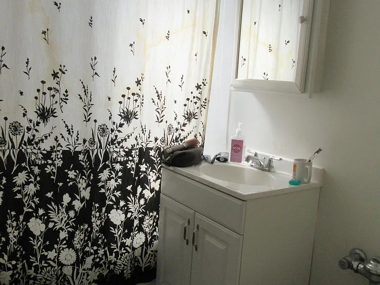 1370 W Greenleaf Ave #2S — Photo 9