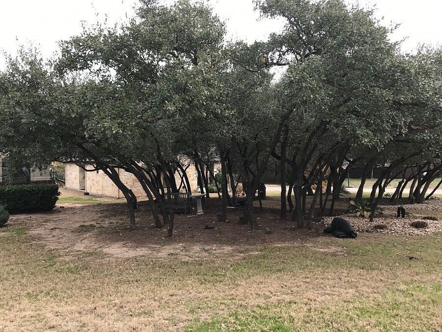 2nd image of 15006 Nightingale Ln