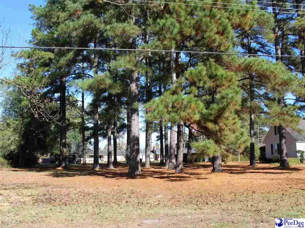 Franklin Ave, Marion, SC 29571