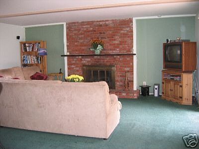Fireplace in Family room