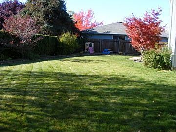 Fenced back yard