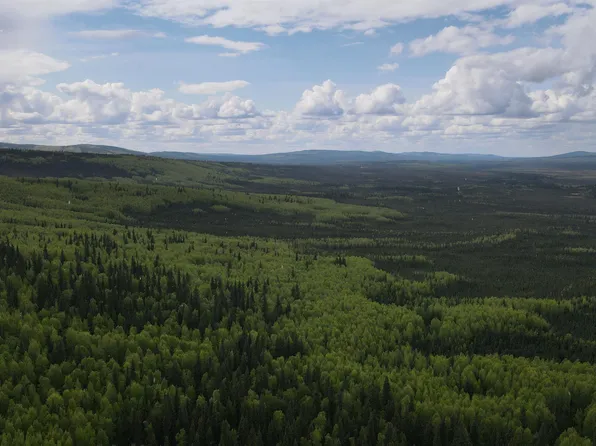 Nhn Ester Dr, Fairbanks, AK 99709