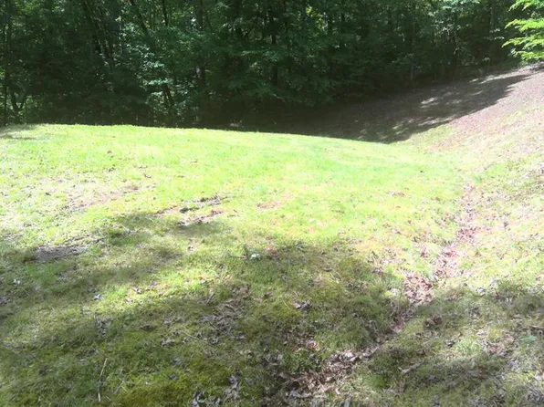 15 Painting Spring Ln, Whittier, NC 28789