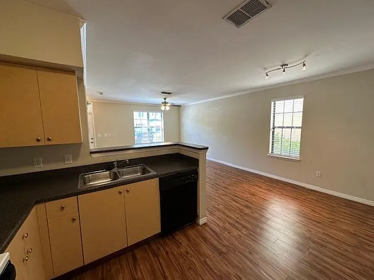 727 Siena Palm Dr — Photo 5