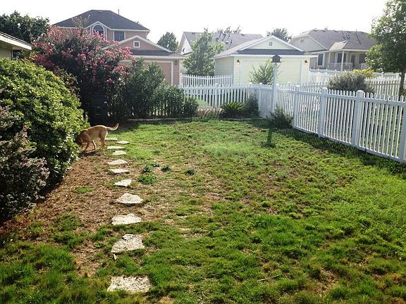 Back yard