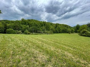 1237 Thomas Valley Rd, Whittier, NC 28789