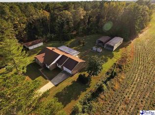 1532 Potato House Rd, Darlington, SC 29532