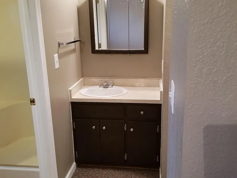 View from Master Bedroom - Walk-in Closet on Right of Sink