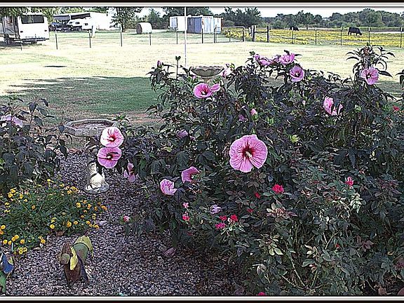 4th image of 3412 Fm 2931