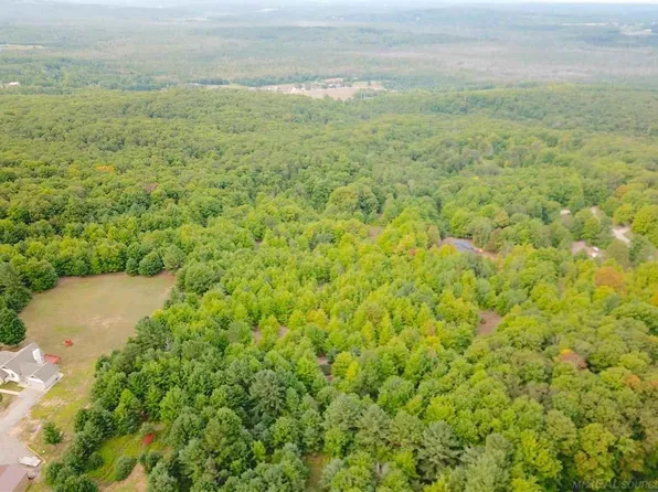 4456 Mountain View Trl, Boyne Falls, MI 49713