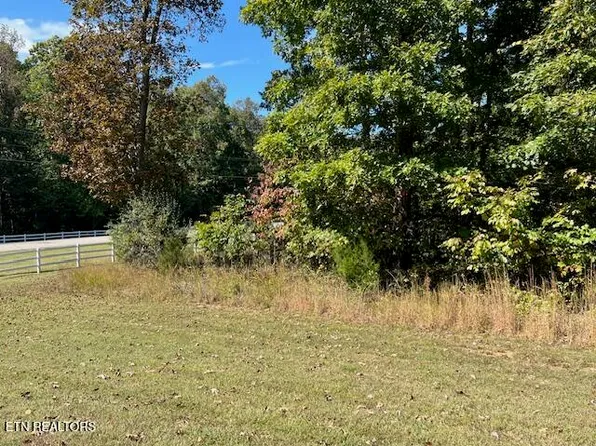 Appaloosa Trl, Rockwood, TN 37854
