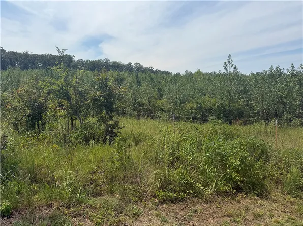 0 Williams Ridge Dr, Dover, AR 72837
