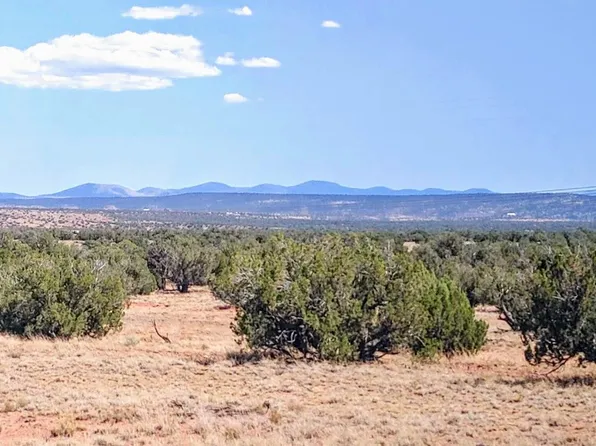 44 Ranch Of The White Mountains, Concho, AZ 85924