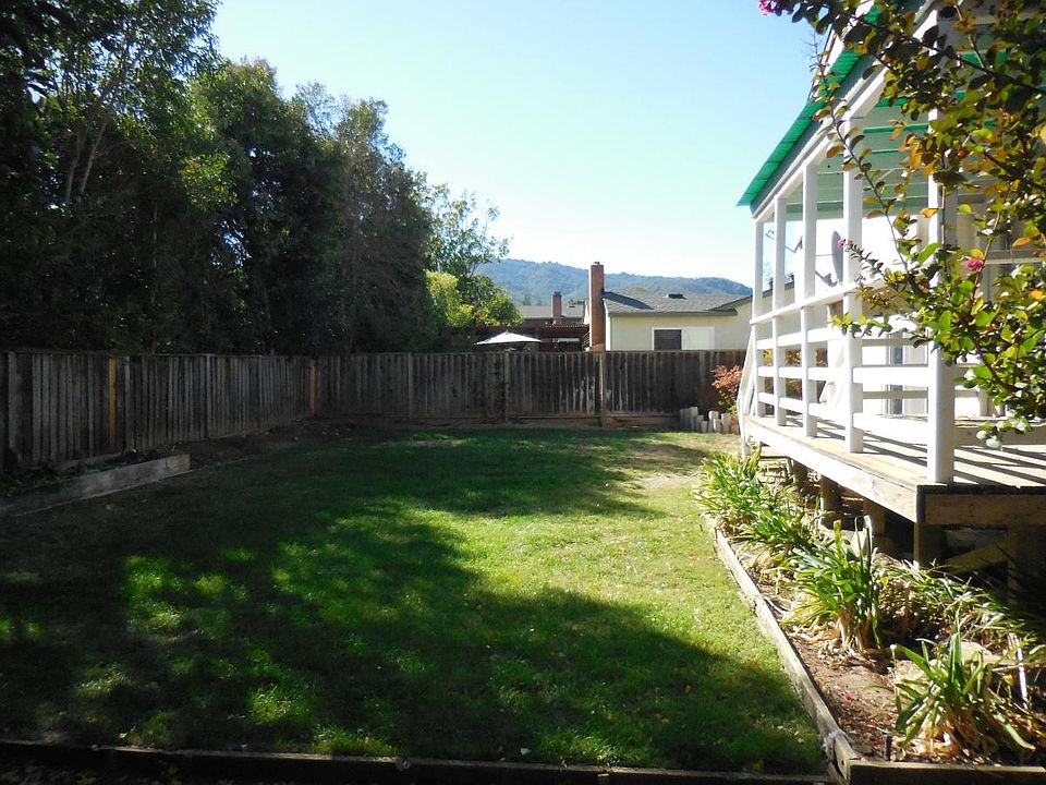 Backyard view