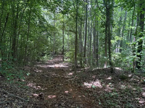 County Road 180, Dumas, MS 38625