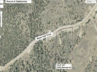 LOT 137 Little Norway #IV-137, San Luis, CO 81152