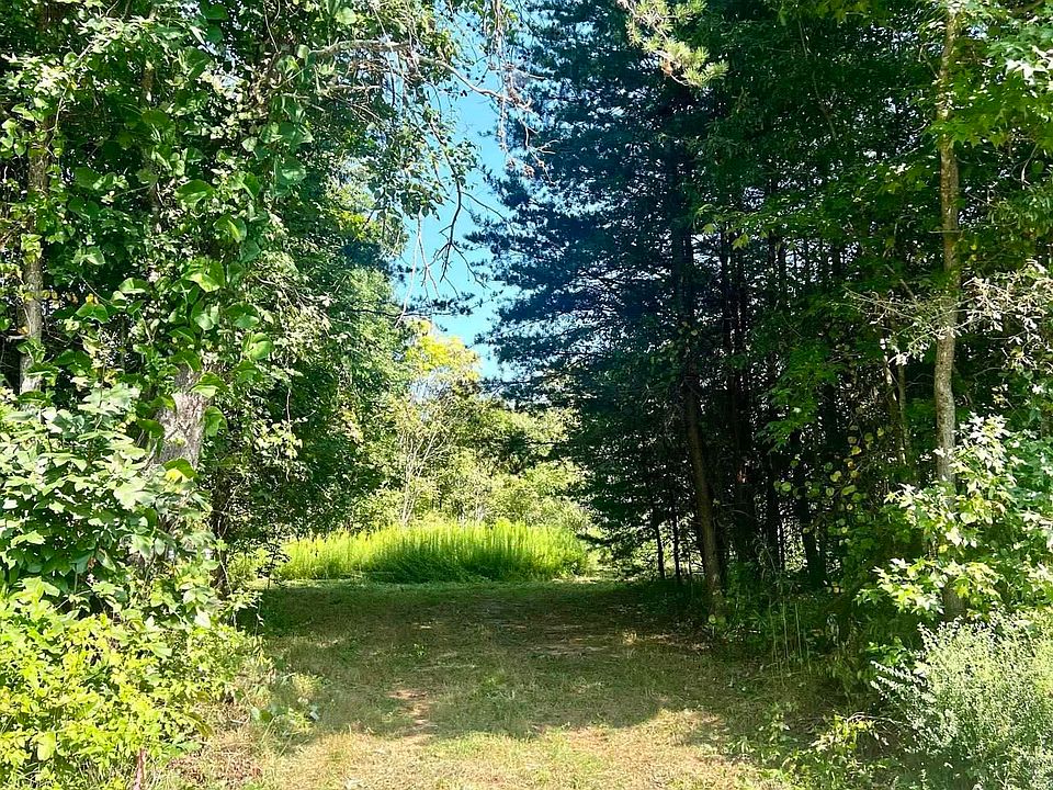 2nd image of 556 Pink Dill Mill Rd Tract 1