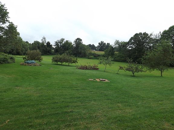 A view of part of the yard