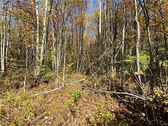 3rd image of Nys Route 49 #Lot 2