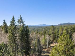 34667 Circle Dr, Pine, CO 80470