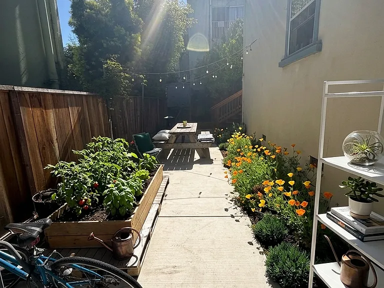 Side yard