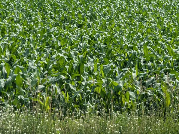 Buelow Rd #2, New London, WI 54961