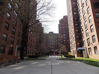 Clinton Hill Coops - North Campus at 185 Clinton Avenue in Clinton Hill