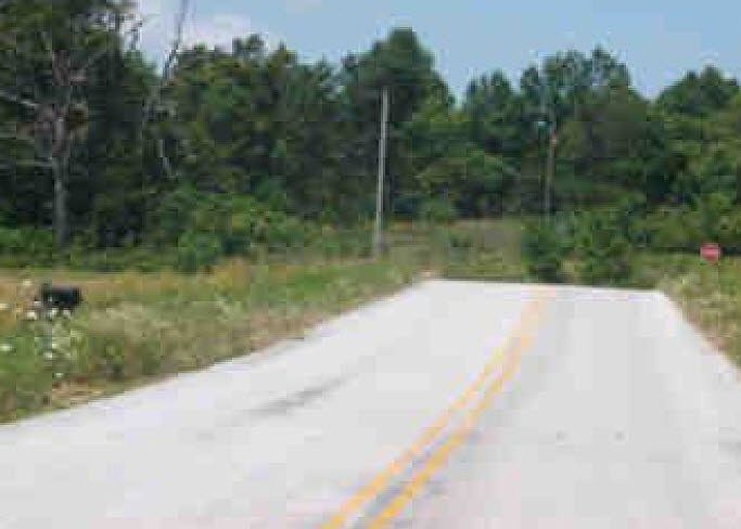 2nd image of 13335 Cincinnati Creek Rd #25
