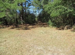 696 Gilhooley Ln, Cross, SC 29436