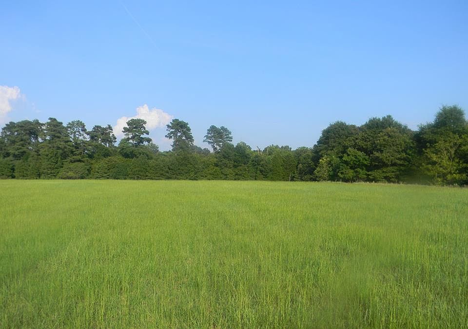 1st image of 1855 County Road 4826