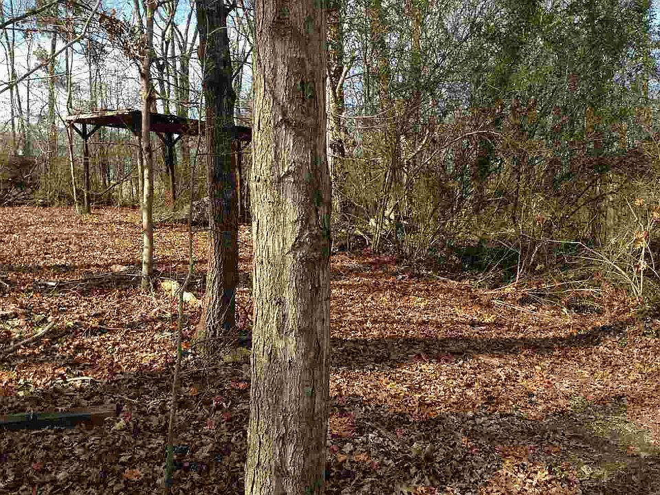 2nd image of 2550 County Road 561