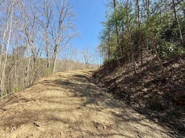 LOT 3 Wild Laurel, Brasstown, NC 28902