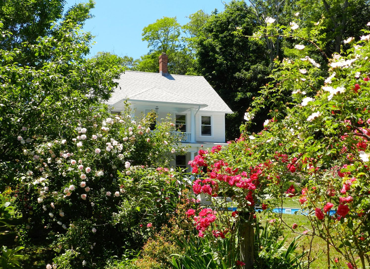 Rose Garden