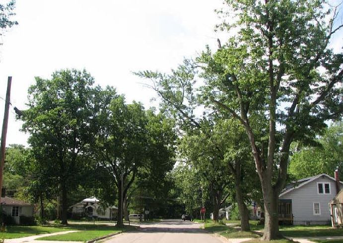 2nd image of 811 S Hooker Ave